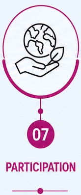 7 Participation